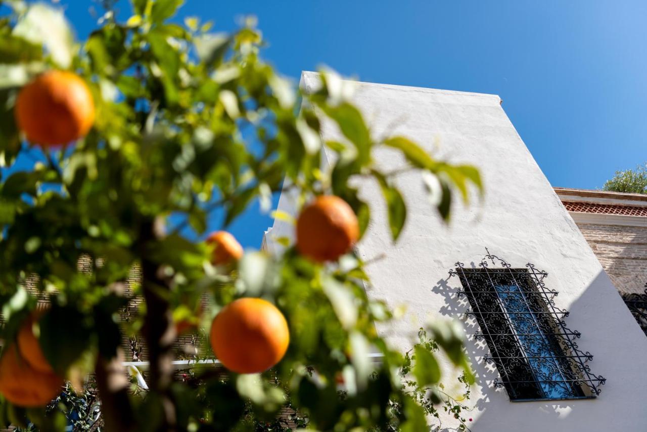 Pajaro Rebelde Bed & Breakfast Sevilla Exterior foto